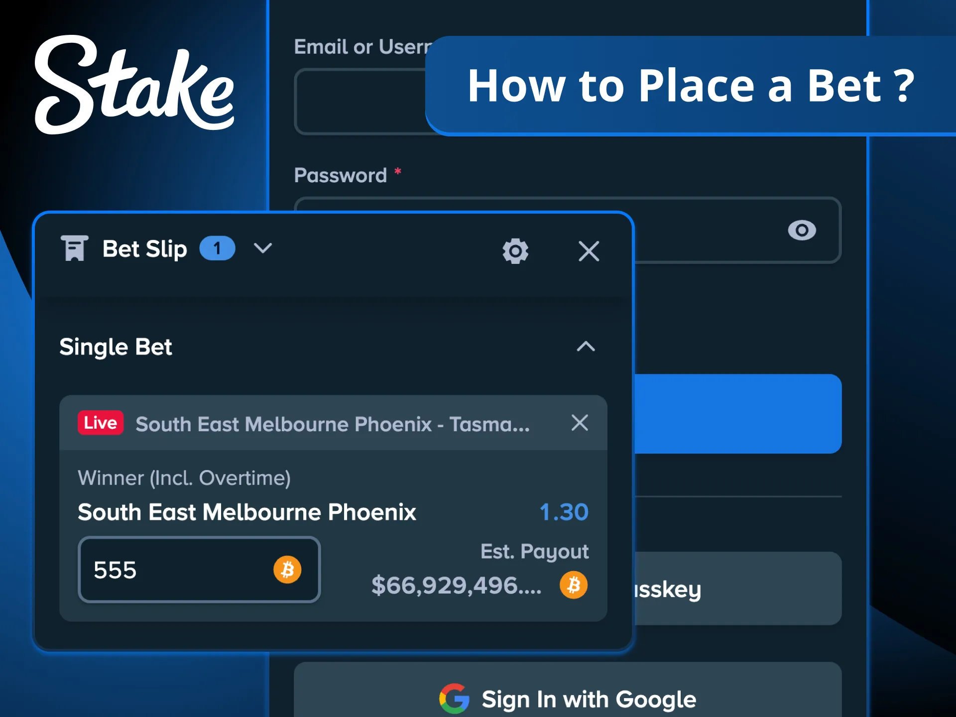 Make exciting bets anytime with Stake.