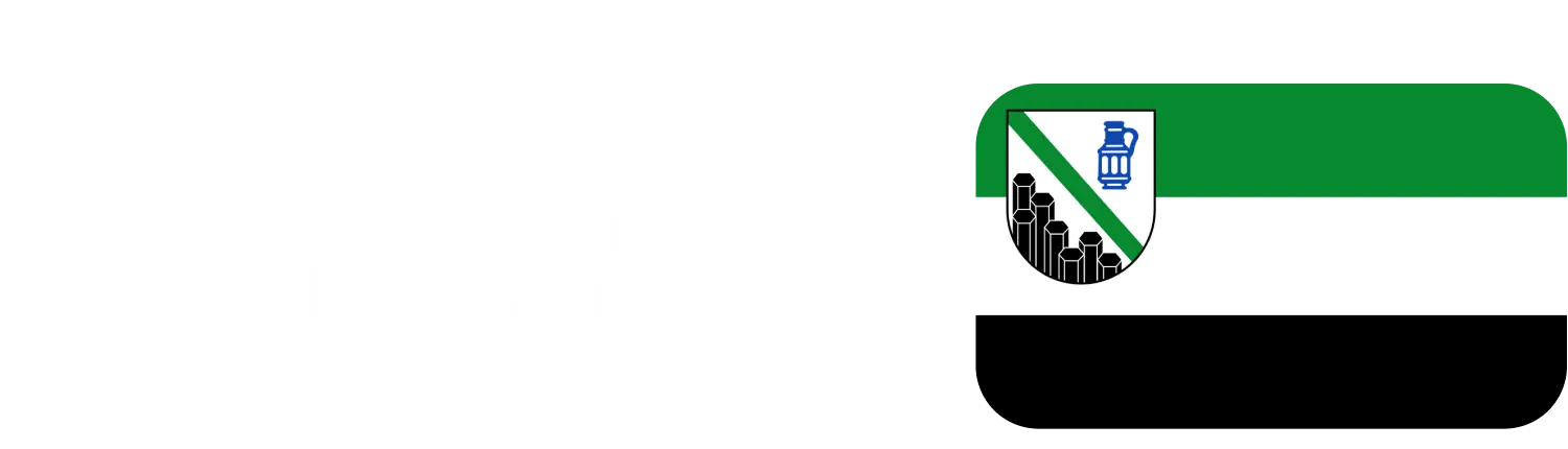 Recognize the official Stake brand mark.