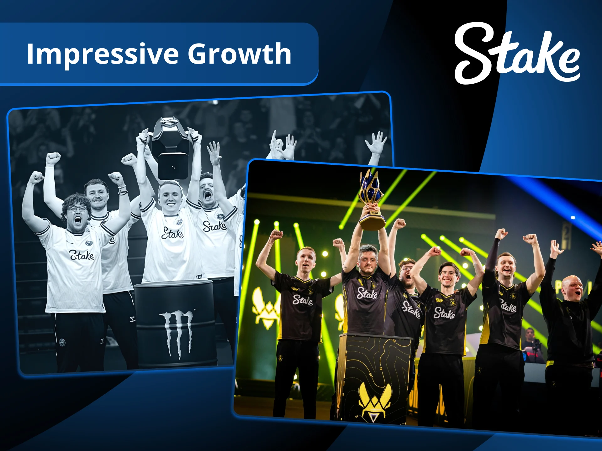 Watch the growth of Team Vitality and place bets at Stake.