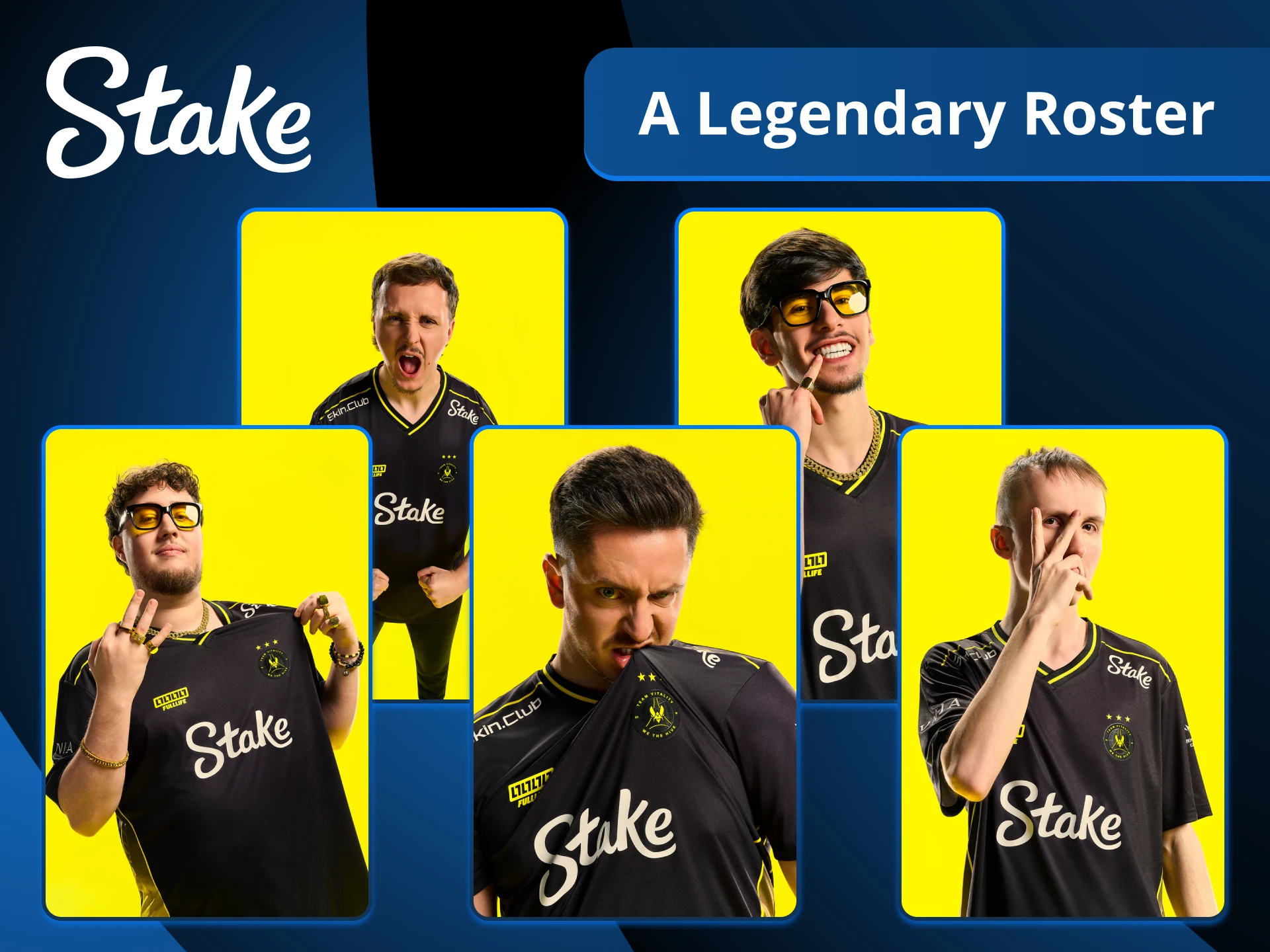 Take closer look on Stake partners Team Vitality CS2 members.