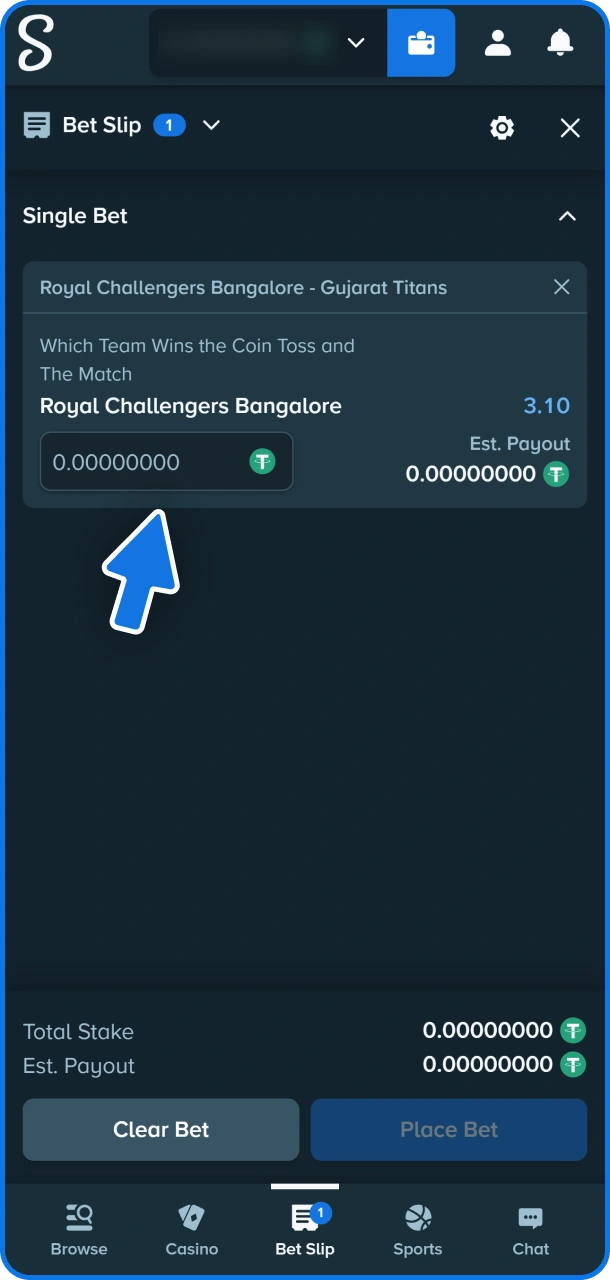 Enter bet amount to finish betting at Stake.