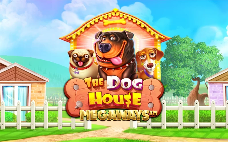 Try The Dog House Megaways for thousands of paylines and sticky wilds.
